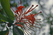 Chile_214_s