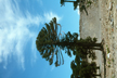 PAT_039_s