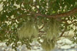 PAT_056_s