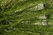 PAT_189_s