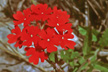 PAT_412-s