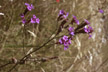 PAT_416_s