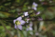 Feu_022_s