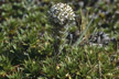 Feuz_059_s