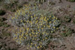 NEU_289_s