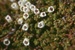 NEU_302_s