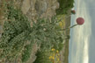 LANIN_030_s