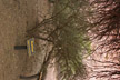 050203_036-s