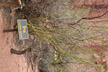 050203_037-s