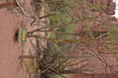 050203_038-s