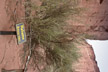 050203_042-s