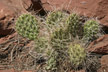 050205_067-s