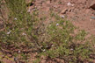 050205_072-s