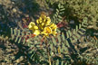 05_039e-s
