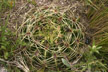 20070123_004-s