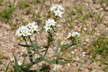 20070124_002-s