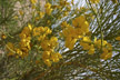20070124_004-s