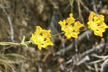 080203_012_s