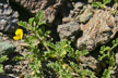 080205_063_s