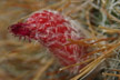 090308_109_s