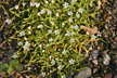 090326_047_s