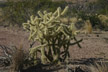 090328_025_s