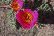 090328_034_w_s