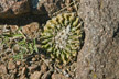 _090328_035_s