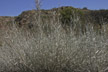090328_087_s