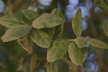 090314_009_s