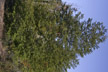 090320_013_s