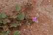 100225_035_s
