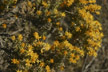 120112_002_s