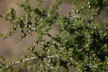 120112_008_s