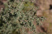 120112_016_s