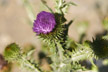 120114_015_s