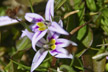 120114_048_s