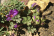 120114_049_s