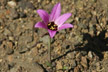 120114_054_s