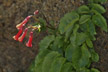 120114_104_s