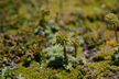 120114_204_s