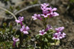 120114_224_s