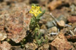 120114_261_s