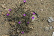 120114_262_s