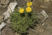 120115_049_s