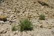 120115_063_s
