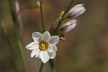 120117_042_s