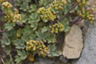 120117_107_s