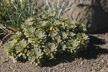 120118_019_s