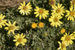 120118_057_s